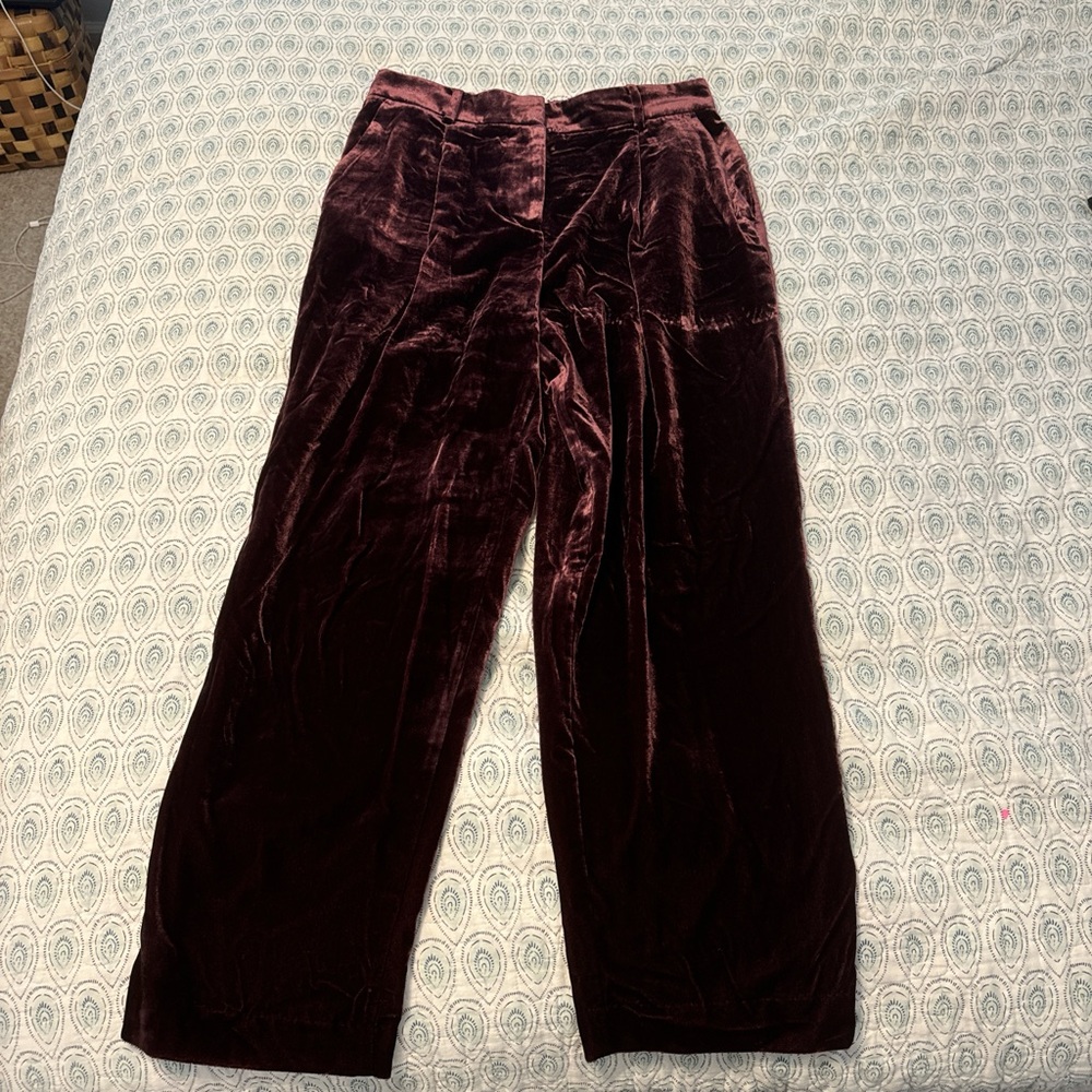 Purple LOFT Velvet Trousers